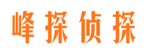 尖扎侦探社